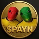 PAYN