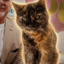 $MILLYCAT