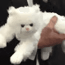 PURR-FEC