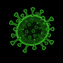 virus