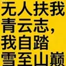 无人扶我青云志，我自踏雪至山巅