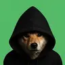 Robin Dog