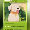maya