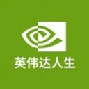 英伟达人生