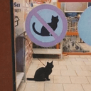 AURACAT