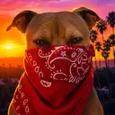 CrimeDog