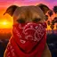CrimeDog