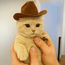 meowdy