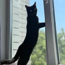 LOOOONG