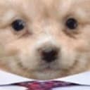 MoNDoG