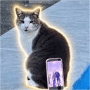 TRICAT