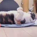 MYU-CHAN