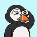 Puffin