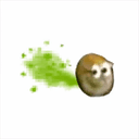 fart