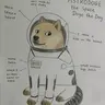 ASTRODOGE