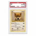 INU