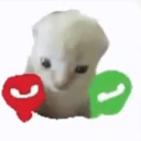 Hachimi