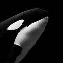 ORCA