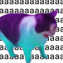 aaaaa