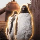 Penguins