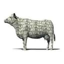 CASHCOW