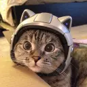 FUTURECAT