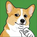 my dog