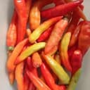 CHILI