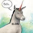 Elon