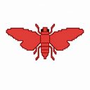 Cicada