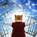 FREEDOM
