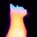 cat(aura)