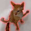 NINJACAT