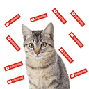SUBCAT