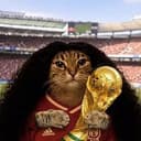 CuCuCat