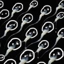 PRECUM