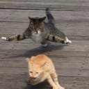 RUN