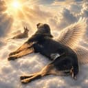 Laika