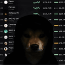 underdog