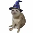 WIZCAT