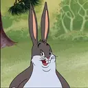 CHUNGUS