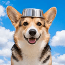 のニコ