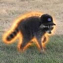 jimothy