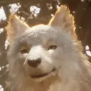 Koo
