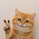 Pawsitive