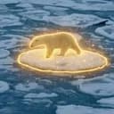 ArcticBear
