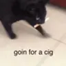 CIG