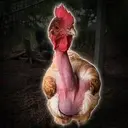 Cock