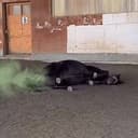 farthorse