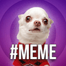 #MEME